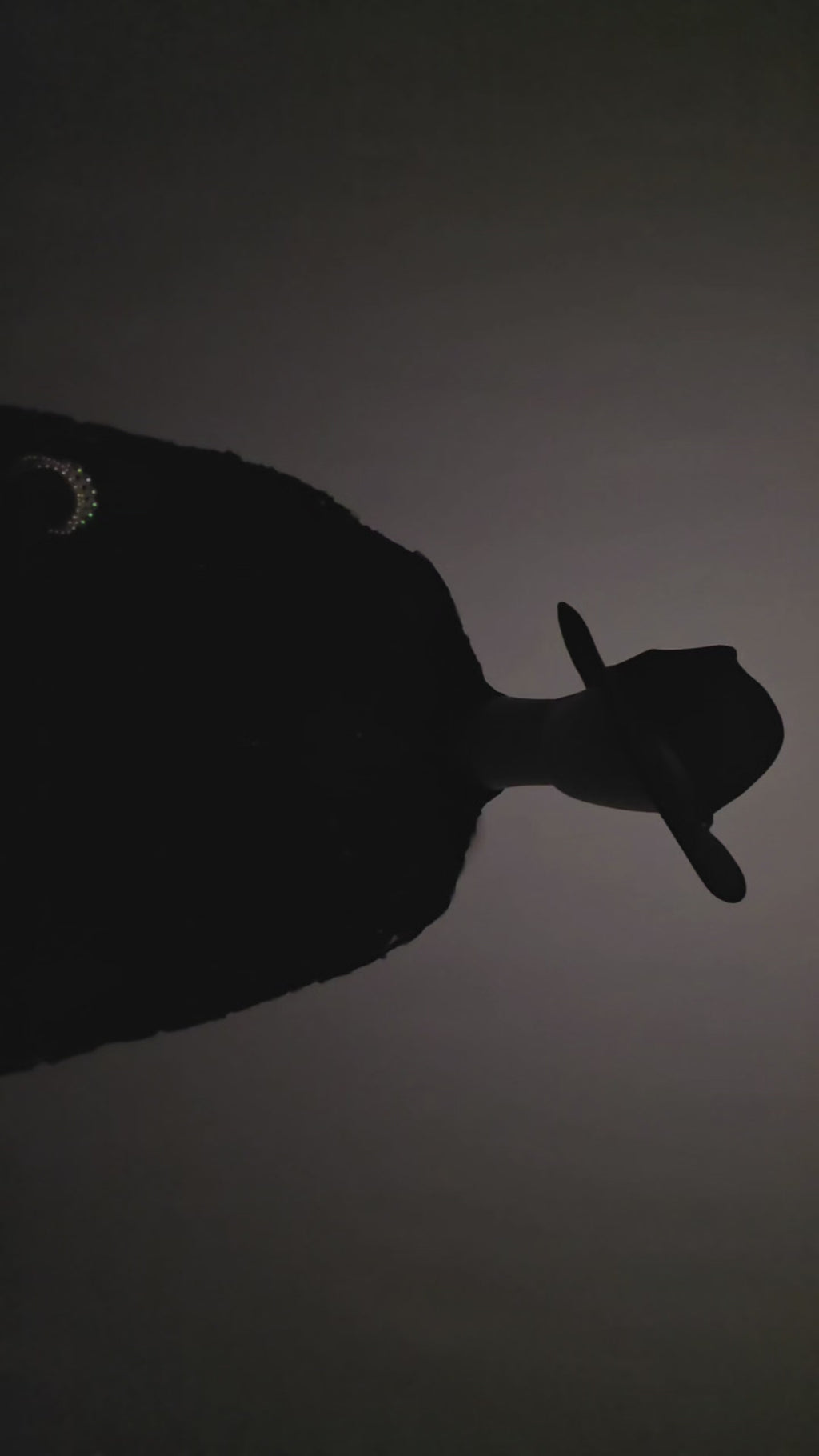 Black Beaded Lace Cape Abaya | Noir by NISA